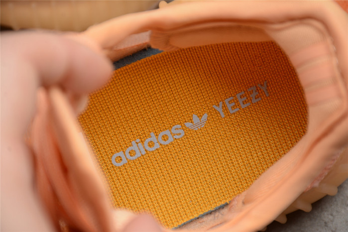 Ad*s kids 350 boost v2 "mono clay" gw2870